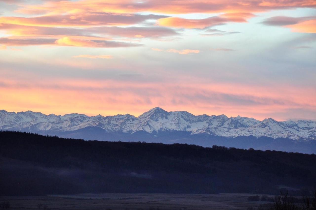 le gite du CASTELBOSC Hagedet Exteriér fotografie