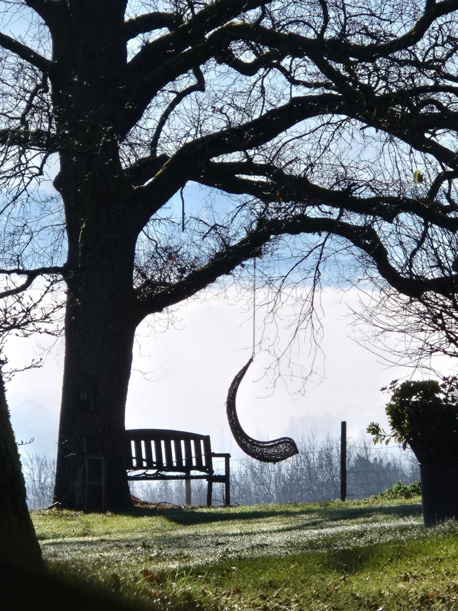 le gite du CASTELBOSC Hagedet Exteriér fotografie